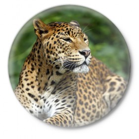 Значок с принтом Леопард в Новосибирске,  металл | круглая форма, металлическая застежка в виде булавки | 