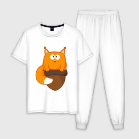 Мужская пижама хлопок с принтом Белочка с орешком в Новосибирске, 100% хлопок | брюки и футболка прямого кроя, без карманов, на брюках мягкая резинка на поясе и по низу штанин
 | милый | орех