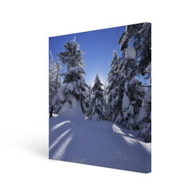 Холст квадратный с принтом Зимний лес в Новосибирске, 100% ПВХ |  | Тематика изображения на принте: времена года | ель | зима | леса | лучи света | природа | снег