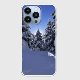 Чехол для iPhone 13 Pro с принтом Зимний лес в Новосибирске,  |  | времена года | ель | зима | леса | лучи света | природа | снег