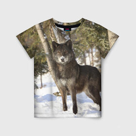 Детская футболка 3D с принтом Король леса в Новосибирске, 100% гипоаллергенный полиэфир | прямой крой, круглый вырез горловины, длина до линии бедер, чуть спущенное плечо, ткань немного тянется | волки | животные | зима | зимние | картинки | снег | фото