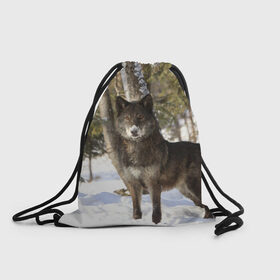 Рюкзак-мешок 3D с принтом Король леса в Новосибирске, 100% полиэстер | плотность ткани — 200 г/м2, размер — 35 х 45 см; лямки — толстые шнурки, застежка на шнуровке, без карманов и подкладки | волки | животные | зима | зимние | картинки | снег | фото