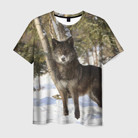 Мужская футболка 3D с принтом Король леса в Новосибирске, 100% полиэфир | прямой крой, круглый вырез горловины, длина до линии бедер | волки | животные | зима | зимние | картинки | снег | фото