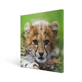 Холст квадратный с принтом Котёнок гепарда в Новосибирске, 100% ПВХ |  | Тематика изображения на принте: гепард | дикая кошка | котёнок | кошка | лев | природа | тигр | хищник | ягуар
