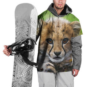 Накидка на куртку 3D с принтом Котёнок гепарда в Новосибирске, 100% полиэстер |  | гепард | дикая кошка | котёнок | кошка | лев | природа | тигр | хищник | ягуар