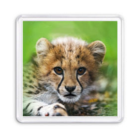 Магнит 55*55 с принтом Котёнок гепарда в Новосибирске, Пластик | Размер: 65*65 мм; Размер печати: 55*55 мм | Тематика изображения на принте: гепард | дикая кошка | котёнок | кошка | лев | природа | тигр | хищник | ягуар