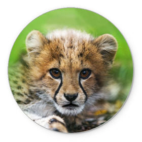Коврик круглый с принтом Котёнок гепарда в Новосибирске, резина и полиэстер | круглая форма, изображение наносится на всю лицевую часть | гепард | дикая кошка | котёнок | кошка | лев | природа | тигр | хищник | ягуар