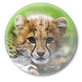 Значок с принтом Котёнок гепарда в Новосибирске,  металл | круглая форма, металлическая застежка в виде булавки | Тематика изображения на принте: гепард | дикая кошка | котёнок | кошка | лев | природа | тигр | хищник | ягуар