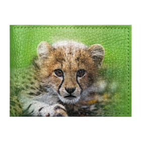 Обложка для студенческого билета с принтом Котёнок гепарда в Новосибирске, натуральная кожа | Размер: 11*8 см; Печать на всей внешней стороне | гепард | дикая кошка | котёнок | кошка | лев | природа | тигр | хищник | ягуар