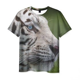 Мужская футболка 3D с принтом Белый тигр в Новосибирске, 100% полиэфир | прямой крой, круглый вырез горловины, длина до линии бедер | абессинкая | домашние | животные | кот | котенок | кошка | порода | сиамская | тигр | хищник