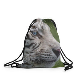 Рюкзак-мешок 3D с принтом Белый тигр в Новосибирске, 100% полиэстер | плотность ткани — 200 г/м2, размер — 35 х 45 см; лямки — толстые шнурки, застежка на шнуровке, без карманов и подкладки | абессинкая | домашние | животные | кот | котенок | кошка | порода | сиамская | тигр | хищник