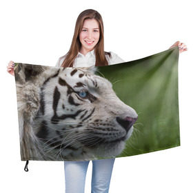 Флаг 3D с принтом Белый тигр в Новосибирске, 100% полиэстер | плотность ткани — 95 г/м2, размер — 67 х 109 см. Принт наносится с одной стороны | абессинкая | домашние | животные | кот | котенок | кошка | порода | сиамская | тигр | хищник