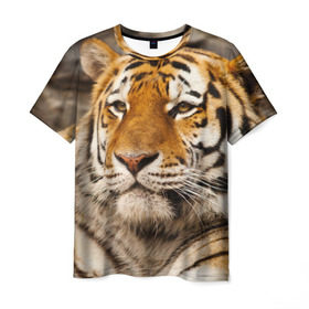 Мужская футболка 3D с принтом Тигр в Новосибирске, 100% полиэфир | прямой крой, круглый вырез горловины, длина до линии бедер | амурский | животные | киса | кот | котенок | кошка | пума | рысь | серый | тигр | хищник