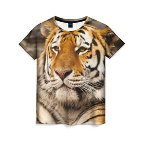 Женская футболка 3D с принтом Тигр в Новосибирске, 100% полиэфир ( синтетическое хлопкоподобное полотно) | прямой крой, круглый вырез горловины, длина до линии бедер | амурский | животные | киса | кот | котенок | кошка | пума | рысь | серый | тигр | хищник