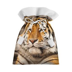 Подарочный 3D мешок с принтом Тигр в Новосибирске, 100% полиэстер | Размер: 29*39 см | амурский | животные | киса | кот | котенок | кошка | пума | рысь | серый | тигр | хищник
