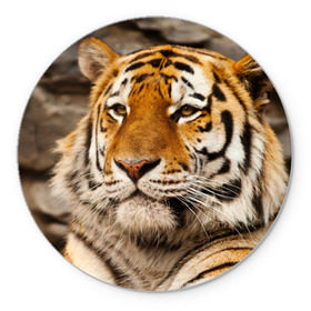 Коврик круглый с принтом Тигр в Новосибирске, резина и полиэстер | круглая форма, изображение наносится на всю лицевую часть | амурский | животные | киса | кот | котенок | кошка | пума | рысь | серый | тигр | хищник