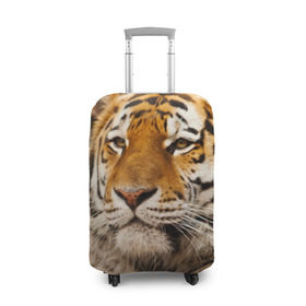 Чехол для чемодана 3D с принтом Тигр в Новосибирске, 86% полиэфир, 14% спандекс | двустороннее нанесение принта, прорези для ручек и колес | амурский | животные | киса | кот | котенок | кошка | пума | рысь | серый | тигр | хищник
