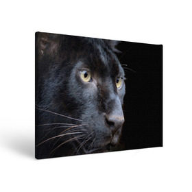 Холст прямоугольный с принтом Черная пантера в Новосибирске, 100% ПВХ |  | Тематика изображения на принте: животные | кис | киска | кот | котенок | котик | кошечка | кошка | пантера | рысь | тигр | хищник