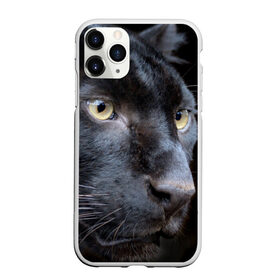 Чехол для iPhone 11 Pro матовый с принтом Черная пантера в Новосибирске, Силикон |  | животные | кис | киска | кот | котенок | котик | кошечка | кошка | пантера | рысь | тигр | хищник