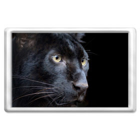 Магнит 45*70 с принтом Черная пантера в Новосибирске, Пластик | Размер: 78*52 мм; Размер печати: 70*45 | животные | кис | киска | кот | котенок | котик | кошечка | кошка | пантера | рысь | тигр | хищник