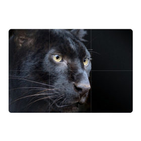 Магнитный плакат 3Х2 с принтом Черная пантера в Новосибирске, Полимерный материал с магнитным слоем | 6 деталей размером 9*9 см | Тематика изображения на принте: животные | кис | киска | кот | котенок | котик | кошечка | кошка | пантера | рысь | тигр | хищник