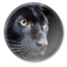 Значок с принтом Черная пантера в Новосибирске,  металл | круглая форма, металлическая застежка в виде булавки | животные | кис | киска | кот | котенок | котик | кошечка | кошка | пантера | рысь | тигр | хищник