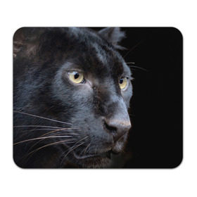 Коврик прямоугольный с принтом Черная пантера в Новосибирске, натуральный каучук | размер 230 х 185 мм; запечатка лицевой стороны | Тематика изображения на принте: животные | кис | киска | кот | котенок | котик | кошечка | кошка | пантера | рысь | тигр | хищник