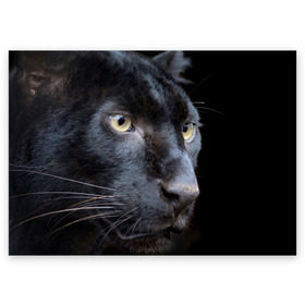 Поздравительная открытка с принтом Черная пантера в Новосибирске, 100% бумага | плотность бумаги 280 г/м2, матовая, на обратной стороне линовка и место для марки
 | Тематика изображения на принте: животные | кис | киска | кот | котенок | котик | кошечка | кошка | пантера | рысь | тигр | хищник