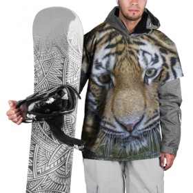 Накидка на куртку 3D с принтом Тигр в Новосибирске, 100% полиэстер |  | животные | кошка | лев | тигр | тигренок | тигрица | хищник