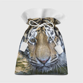 Подарочный 3D мешок с принтом Тигр в Новосибирске, 100% полиэстер | Размер: 29*39 см | Тематика изображения на принте: животные | кошка | лев | тигр | тигренок | тигрица | хищник