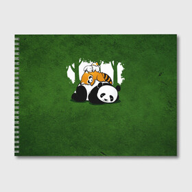 Альбом для рисования с принтом Милая панда в Новосибирске, 100% бумага
 | матовая бумага, плотность 200 мг. | Тематика изображения на принте: большая | джунгли | енот | зайка | милая | панда | пушистая