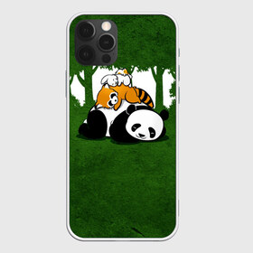 Чехол для iPhone 12 Pro Max с принтом Милая панда в Новосибирске, Силикон |  | Тематика изображения на принте: большая | джунгли | енот | зайка | милая | панда | пушистая