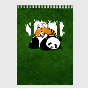 Скетчбук с принтом Милая панда в Новосибирске, 100% бумага
 | 48 листов, плотность листов — 100 г/м2, плотность картонной обложки — 250 г/м2. Листы скреплены сверху удобной пружинной спиралью | Тематика изображения на принте: большая | джунгли | енот | зайка | милая | панда | пушистая
