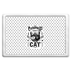 Магнит 45*70 с принтом Curiosity Cat в Новосибирске, Пластик | Размер: 78*52 мм; Размер печати: 70*45 | animal | beast | cat | feline | gangsta | kill | king | kitty | meow | nature | гангстер | животное | зверь | король | кот | котенок | котик | кошка | мяу | природа