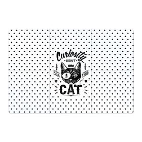 Магнитный плакат 3Х2 с принтом Curiosity Cat в Новосибирске, Полимерный материал с магнитным слоем | 6 деталей размером 9*9 см | animal | beast | cat | feline | gangsta | kill | king | kitty | meow | nature | гангстер | животное | зверь | король | кот | котенок | котик | кошка | мяу | природа