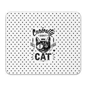 Коврик прямоугольный с принтом Curiosity Cat в Новосибирске, натуральный каучук | размер 230 х 185 мм; запечатка лицевой стороны | animal | beast | cat | feline | gangsta | kill | king | kitty | meow | nature | гангстер | животное | зверь | король | кот | котенок | котик | кошка | мяу | природа