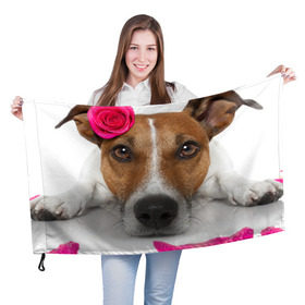 Флаг 3D с принтом Джек рассел с розой в Новосибирске, 100% полиэстер | плотность ткани — 95 г/м2, размер — 67 х 109 см. Принт наносится с одной стороны | волкодав | дворняжка | джек | джек рассел | домашние животные | любимец | мопс | овчарка | пес | песик | питомец | рассел | сенбернар | собака | собачка