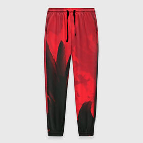 Мужские брюки 3D с принтом красное и черное в Новосибирске, 100% полиэстер | манжеты по низу, эластичный пояс регулируется шнурком, по бокам два кармана без застежек, внутренняя часть кармана из мелкой сетки | красный | черный