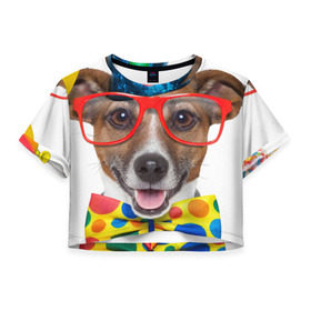 Женская футболка 3D укороченная с принтом Джек рассел - клоун в Новосибирске, 100% полиэстер | круглая горловина, длина футболки до линии талии, рукава с отворотами | волкодав | дворняжка | джек | джек рассел | домашние животные | любимец | мопс | овчарка | пес | песик | питомец | рассел | сенбернар | собака | собачка