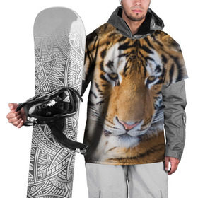 Накидка на куртку 3D с принтом Тигр в Новосибирске, 100% полиэстер |  | амурский | животные | киса | кот | котенок | кошка | пума | рысь | серый | тигр | хищник