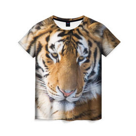 Женская футболка 3D с принтом Тигр в Новосибирске, 100% полиэфир ( синтетическое хлопкоподобное полотно) | прямой крой, круглый вырез горловины, длина до линии бедер | амурский | животные | киса | кот | котенок | кошка | пума | рысь | серый | тигр | хищник