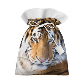 Подарочный 3D мешок с принтом Тигр в Новосибирске, 100% полиэстер | Размер: 29*39 см | амурский | животные | киса | кот | котенок | кошка | пума | рысь | серый | тигр | хищник