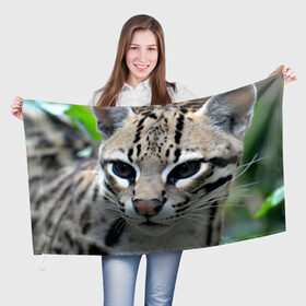Флаг 3D с принтом Дикая кошка в Новосибирске, 100% полиэстер | плотность ткани — 95 г/м2, размер — 67 х 109 см. Принт наносится с одной стороны | амурский | животные | киса | кот | котенок | кошка | лев | львица | пума | рысь | серый | тигр | хищник