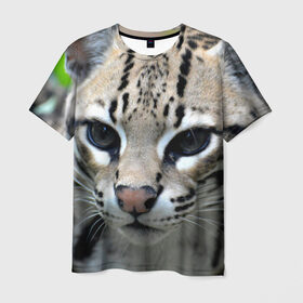 Мужская футболка 3D с принтом Дикая кошка в Новосибирске, 100% полиэфир | прямой крой, круглый вырез горловины, длина до линии бедер | амурский | животные | киса | кот | котенок | кошка | лев | львица | пума | рысь | серый | тигр | хищник