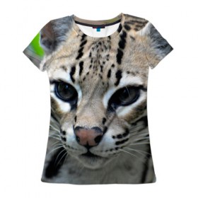 Женская футболка 3D с принтом Дикая кошка в Новосибирске, 100% полиэфир ( синтетическое хлопкоподобное полотно) | прямой крой, круглый вырез горловины, длина до линии бедер | амурский | животные | киса | кот | котенок | кошка | лев | львица | пума | рысь | серый | тигр | хищник