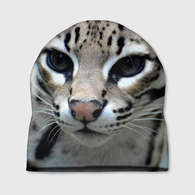 Шапка 3D с принтом Дикая кошка в Новосибирске, 100% полиэстер | универсальный размер, печать по всей поверхности изделия | амурский | животные | киса | кот | котенок | кошка | лев | львица | пума | рысь | серый | тигр | хищник