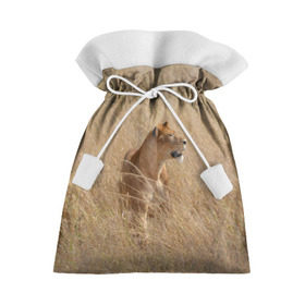 Подарочный 3D мешок с принтом Львица в траве в Новосибирске, 100% полиэстер | Размер: 29*39 см | амурский | животные | киса | кот | котенок | кошка | лев | львица | пума | рысь | серый | тигр | хищник