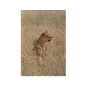 Обложка для паспорта матовая кожа с принтом Львица в траве в Новосибирске, натуральная матовая кожа | размер 19,3 х 13,7 см; прозрачные пластиковые крепления | амурский | животные | киса | кот | котенок | кошка | лев | львица | пума | рысь | серый | тигр | хищник
