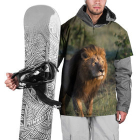 Накидка на куртку 3D с принтом Лев в Новосибирске, 100% полиэстер |  | амурский | животные | киса | кот | котенок | кошка | лев | львица | пума | рысь | серый | тигр | хищник