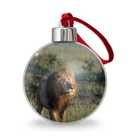 Ёлочный шар с принтом Лев в Новосибирске, Пластик | Диаметр: 77 мм | амурский | животные | киса | кот | котенок | кошка | лев | львица | пума | рысь | серый | тигр | хищник